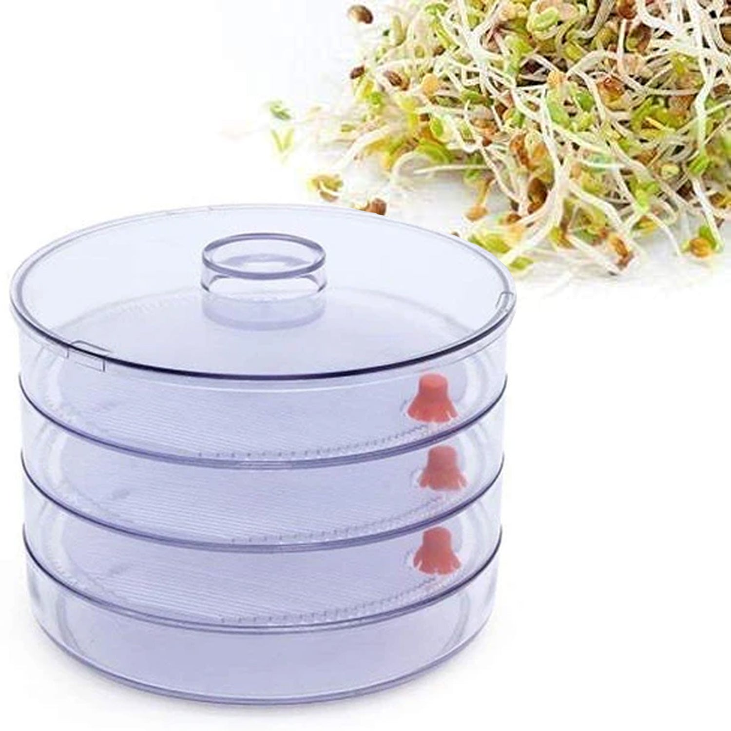 070 Plastic 4 Compartment Sprout Maker, White Smallb.store