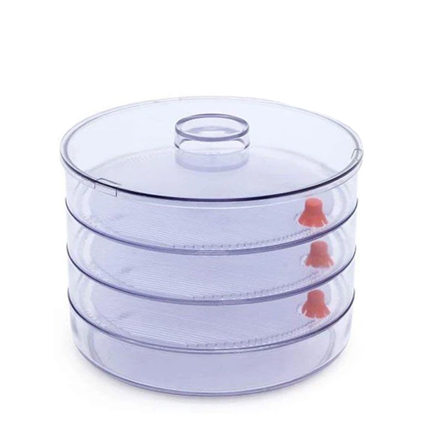 070 Plastic 4 Compartment Sprout Maker, White Smallb.store