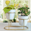 Small Golden Double Pot Stand Model No: 1302