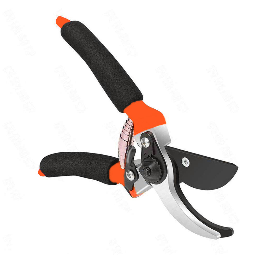 479 Garden Shears Sharp Cutter Pruners Scissor, Pruner DeoDap