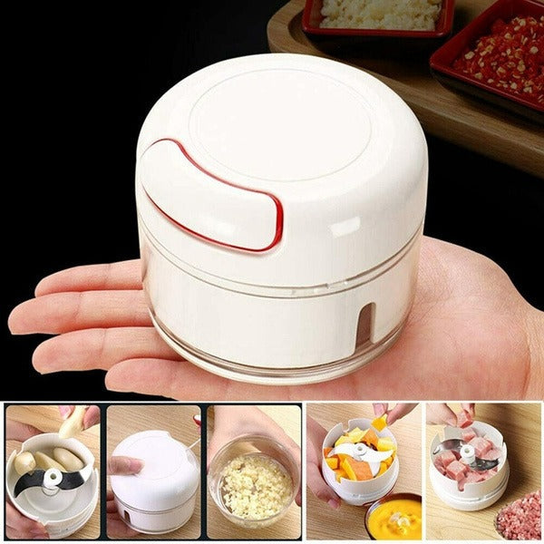 2402 Mini Garlic Chopper Mixer, Portable Cordless Grinder DeoDap